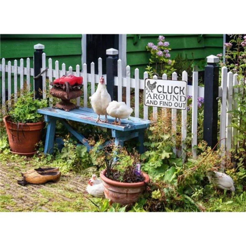 Funny Chicken Cluck Around and Find Out Tin Sign for Home Farm Chicken Coop